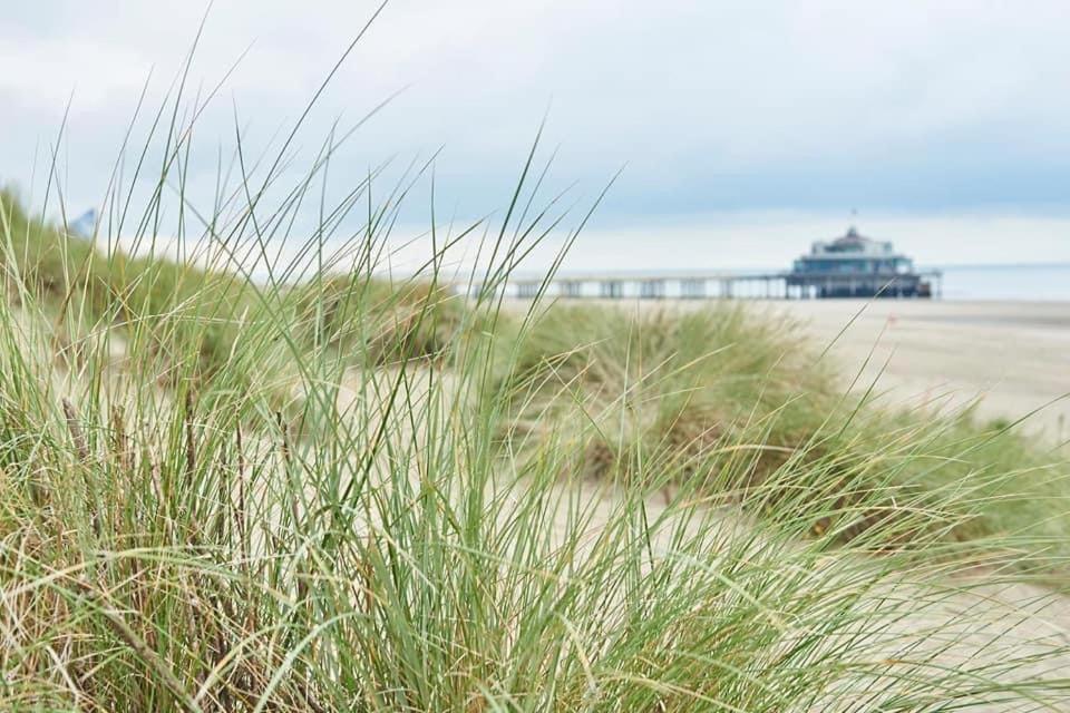 Charmant Zeehuys 100M Van Zee Dichtbij Brugge Blankenberge Exterior foto
