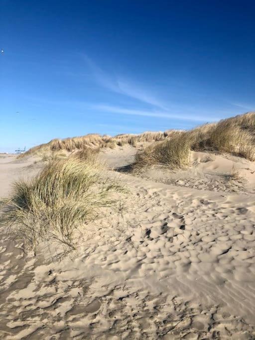 Charmant Zeehuys 100M Van Zee Dichtbij Brugge Blankenberge Exterior foto