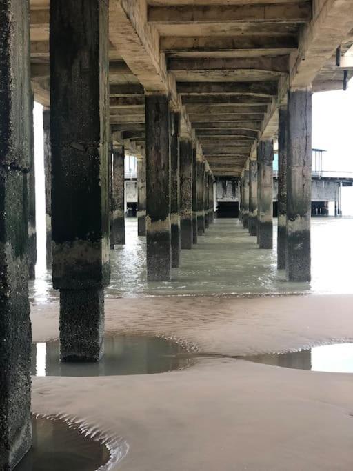 Charmant Zeehuys 100M Van Zee Dichtbij Brugge Blankenberge Exterior foto